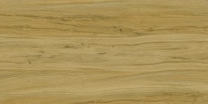 Керамогранит KERRANOVA Alleya К-2102/SR Коричневый 20*120 см