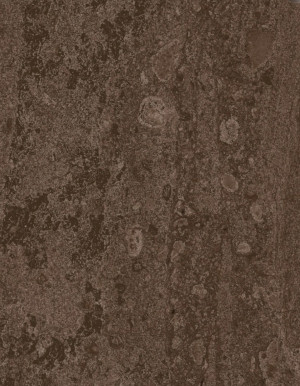 Плитка настенная Селена 20*30