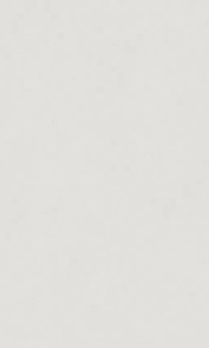 Керамогранит матовый 120*60 см