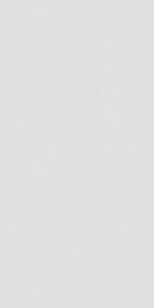 Керамогранит глянцевый 120*60 см